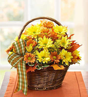 Fall Daisy Basket