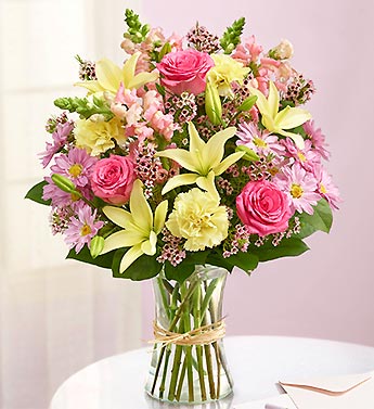 Fields of Europe for Spring